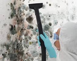 Best Mold Odor Removal Services in Crivitz, WI